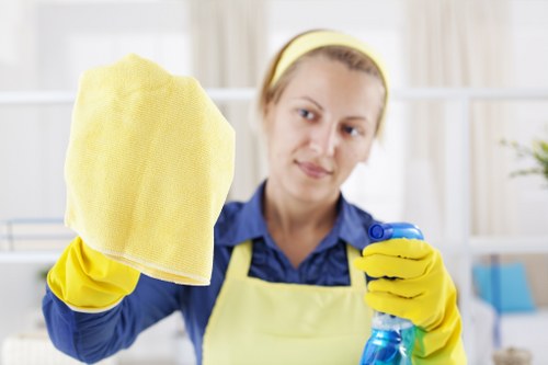Professional cleaning services in action