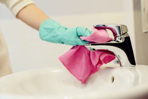 Professional house cleaner at work