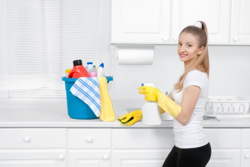 Step-by-step oven cleaning process illustrated