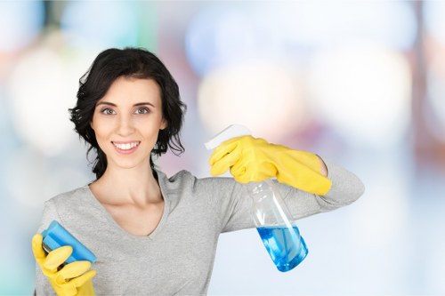 Natural and commercial oven cleaning supplies