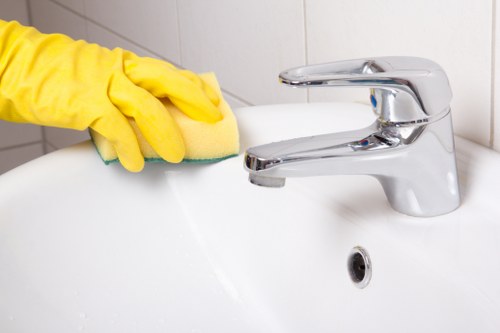Eco-friendly cleaning products on a shelf