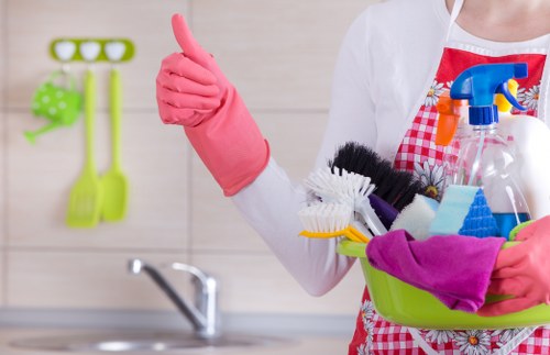 Eco-friendly cleaning solutions