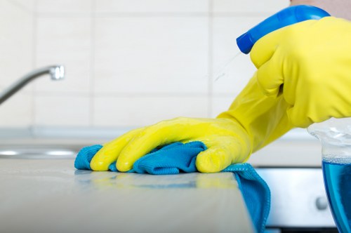 Technician performing facade cleaning with equipment