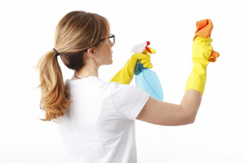 Eco-friendly cleaning products in use