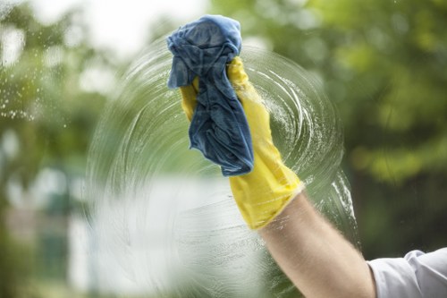 Professional cleaning gutters with tools