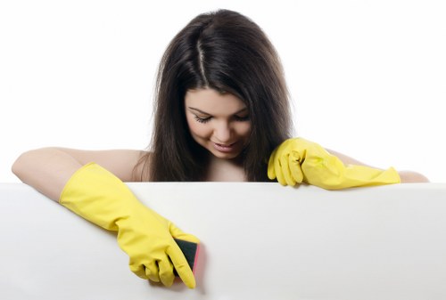 Professional cleaning service in action