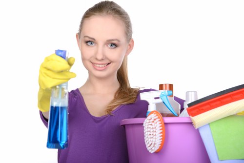 Eco-friendly window cleaning solutions