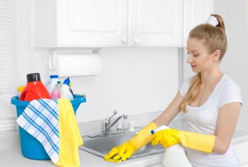 Eco-friendly rug cleaning solutions being applied